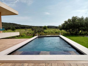 La villa des vignes